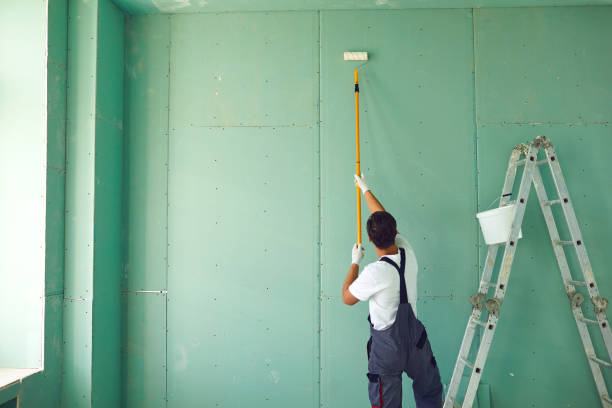 Best Attic Mold Removal  in Wesson, MS
