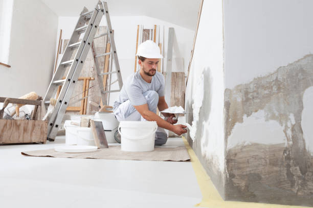 Best Asbestos and Lead Testing During Mold Inspection  in Wesson, MS