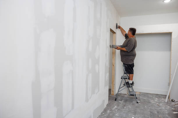 Best Emergency Mold Remediation  in Wesson, MS