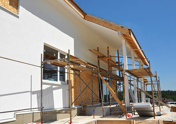 Mold Documentation for Insurance Claims in Wesson, MS